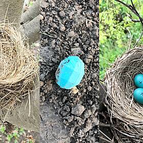 Futureproof Extra: The Eight-Sided Robin's Egg Image