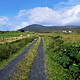 "In the past we have been wholly neglected" - Rural Ireland being left behind