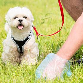 Pet Owners Need To Be Held Accountable For Their Animals Fouling In Public Spaces Image