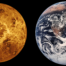Panspermia Image