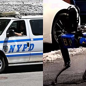 Meet DigiDog: The Latest Recruit For The NYPD Image