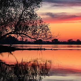 Green Scene: The World's Disappearing Rivers Image