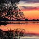Green Scene: The World's Disappearing Rivers