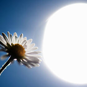 What's In Store For The Weekend's Weather? Image