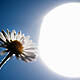 What's In Store For The Weekend's Weather?