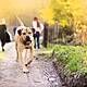 Should there be tighter regulations for those with off-lead dogs?