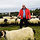 A Kerry man to walk his sheep across London Bridge