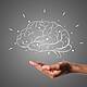 Brain HQ - Helping People Living with mTBIs