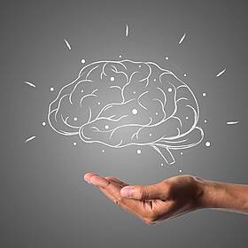 Brain HQ - Helping People Living with mTBIs Image