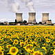 Is Nuclear Energy the Solution to the Energy Crisis?