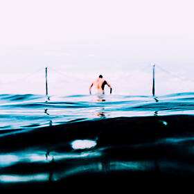 Green Scene: New research about sea swimming Image