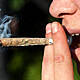 Over Half Of Irish Students Have Used An Illicit Drug: Survey Finds