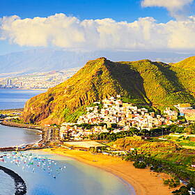 What Animal Are The Canary Islands Named After? Image