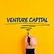 Are venture capitalist only lending to bigger firms?