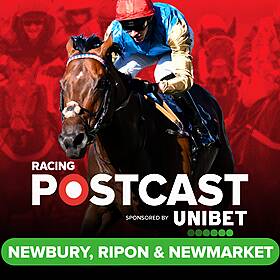 193: Newbury, Ripon and Newmarket Preview | Horse Racing Tips | Racing Postcast sponsored by Unibet Image