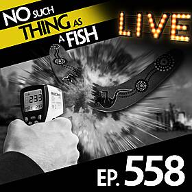 558: No Such Thing As A Boomerang Shaped Spaceship Image