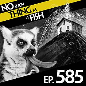585: No Such Thing As The Paula Radcliffe Of F1 Racing Image