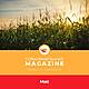 CBS Mag 4.10 | Maíz