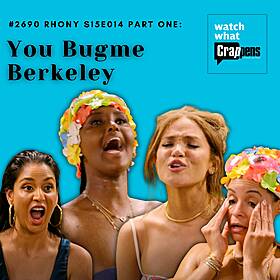 #2690 RHONY S15E014 Part One: You Bugme Berkeley Image