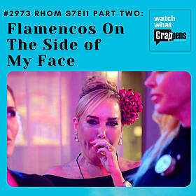 #2973 RHOM S7E11 Part Two: Flamencos On The Side of My Face Image