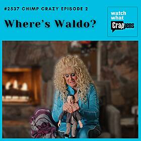 #2537: Chimp Crazy Episode 2: Where’s Waldo? Image