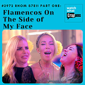 #2972 RHOM S7E11 Part One: Flamencos On The Side of My Face Image