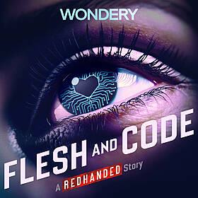 Listen Now: Flesh and Code Image