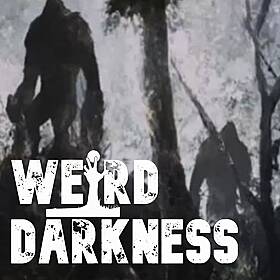 “THE LEFLORE COUNTY BIGFOOT WAR” and 4 More Freaky True Stories! #WeirdDarkness Image