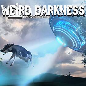 CATTLE MUTILATIONS: The Connection To BIGFOOT, ALIEN ABDUCTIONS, and MIND CONTROL #WeirdDarkness Image
