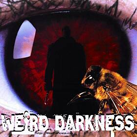 “THE NIGHTMARISH LOVE STORY BEHIND CLIVE BARKER’S CANDYMAN” and More! #WeirdDarkness Image
