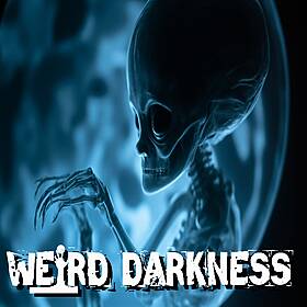 THE ABDUCTIONS OF LYNDA JONES: Missing Time, Alien Pregnancy, Men In Black, and Decades of Terror Image