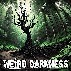 “SKELETON JACK AND THE BLACK TREE” and More Horror Stories! #WeirdDarkness Image
