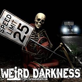 DON’T STOP THE CAR: Haunted Highways, Cursed Curves, and Phantom Hitchhikers Image