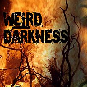 “THE WITCHFINDER AND HIS WEIRD WOODEN BOX” and 4 More Creepy Paranormal Stories! #WeirdDarkness Image