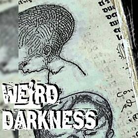 “STRANGE ENCOUNTERS WITH THE BIZARRE MELONHEADS” and 5 More Truly Freaky Stories! Image