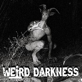 “HAIRY HUMANOIDS OF TEXAS” and More Disturbing But True Stories! #WeirdDarkness #Darkives Image