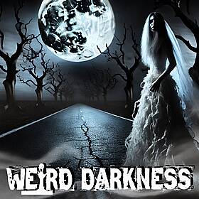 HAUNTED ROADS: Ghost Brides, Hellhounds & The Phantom Cars That Still Kill Image