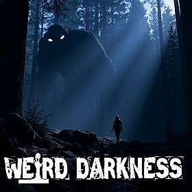 SASQUATCH TOOK HER: California's Strangest Missing Person Case Image