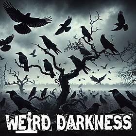 “MURDER OF CROWS” and More Fictional Horror and Creepypastas! #WeirdDarkness Image