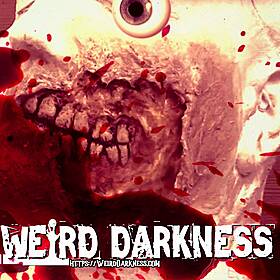“A BEGINNER’S GUIDE TO BLOOD PORTALS” and more! #WeirdDarkness #Darkives Image