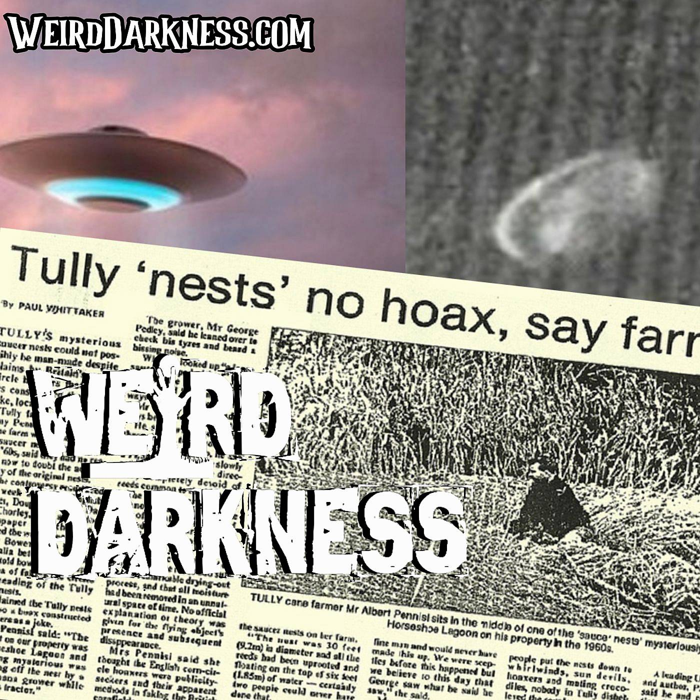 Weird Darkness: Stories of the Paranormal, Supernatural, Legen...