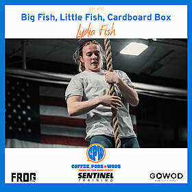 Big Fish, Little Fish, Cardboard Box - Lydia Fish Image