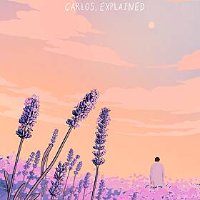 230 - Carlos, Explained Image