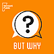 How is meat made in a lab?
