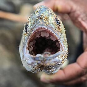 Why can’t the world get its act together on plastics? Image