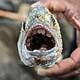 Why can’t the world get its act together on plastics?