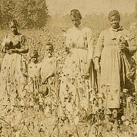 The Economy That Slavery Built Image
