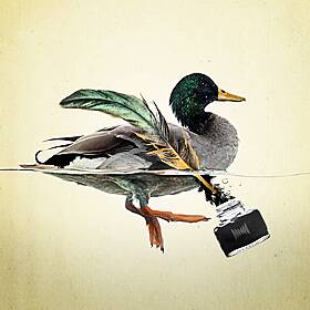 Sex, Ducks and the Founding Feud Image