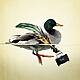 Sex, Ducks and the Founding Feud