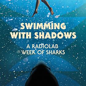 Swimming with Shadows: A Radiolab Week of Sharks Image